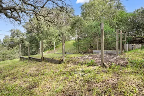 a backyard of a house with plants and large trees