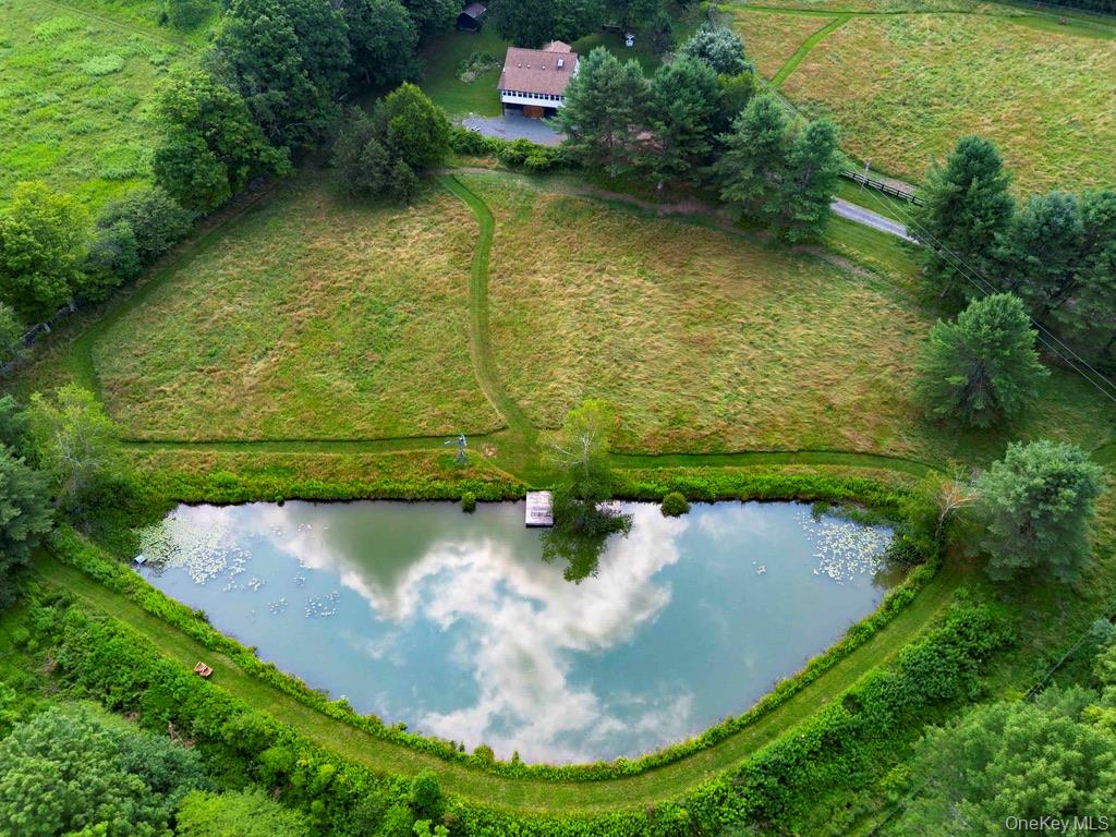284 Ridge Road Hamden, NY 13782 - Photo 44 of 44 Aerial view of the pond