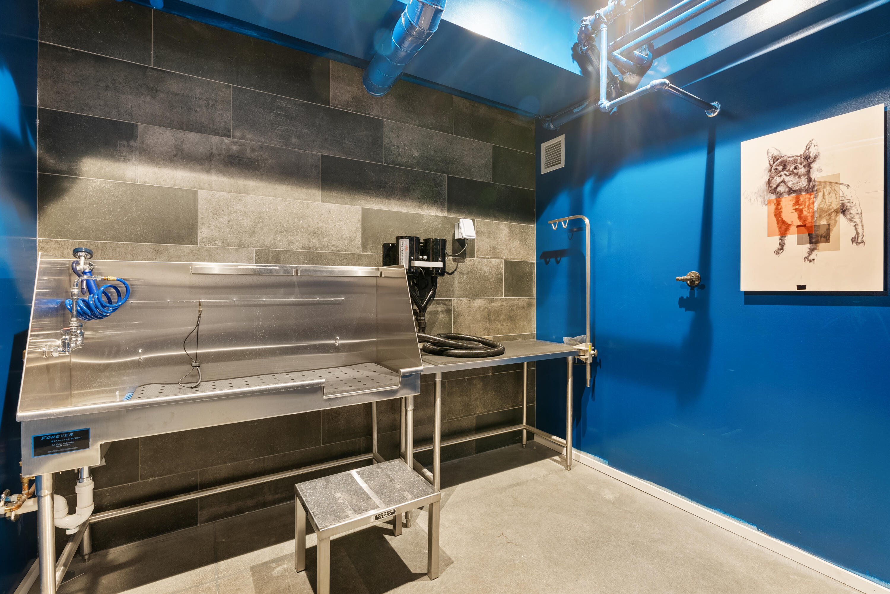 75 Chestnut Street, Unit 609 Portland, ME 04101 - Photo 29 of 42 Pet wash station