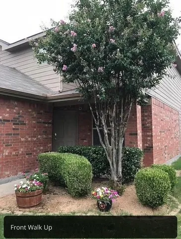 a view of a backyard with plants and a large tree