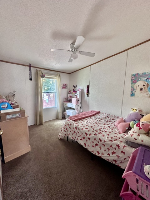 106 Ramirez Street Kyle, TX 78640 - Photo 16 of 19 A well-lit bedroom offering a cozy atmosphere and a practical ceiling fan for comfort.
