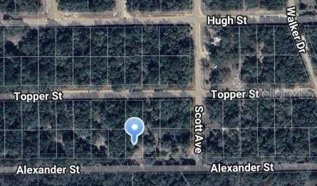$12,000 | Alexander Street, Interlachen, FL 32148