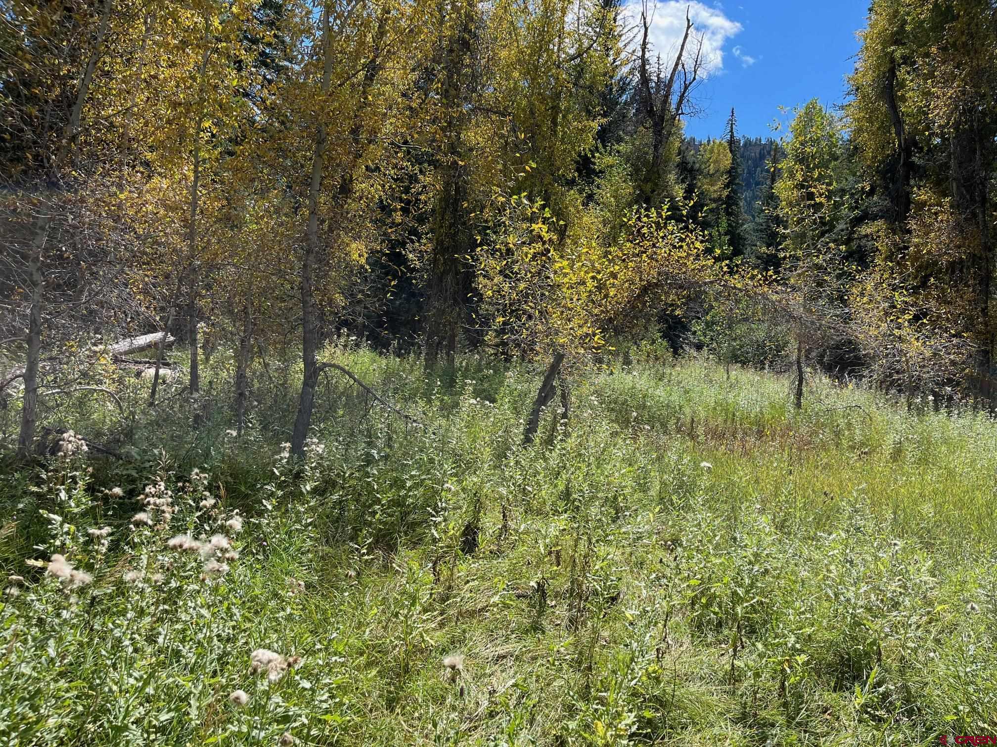 13544 County Road 240 Durango, CO 81301 - Photo 3 of 6