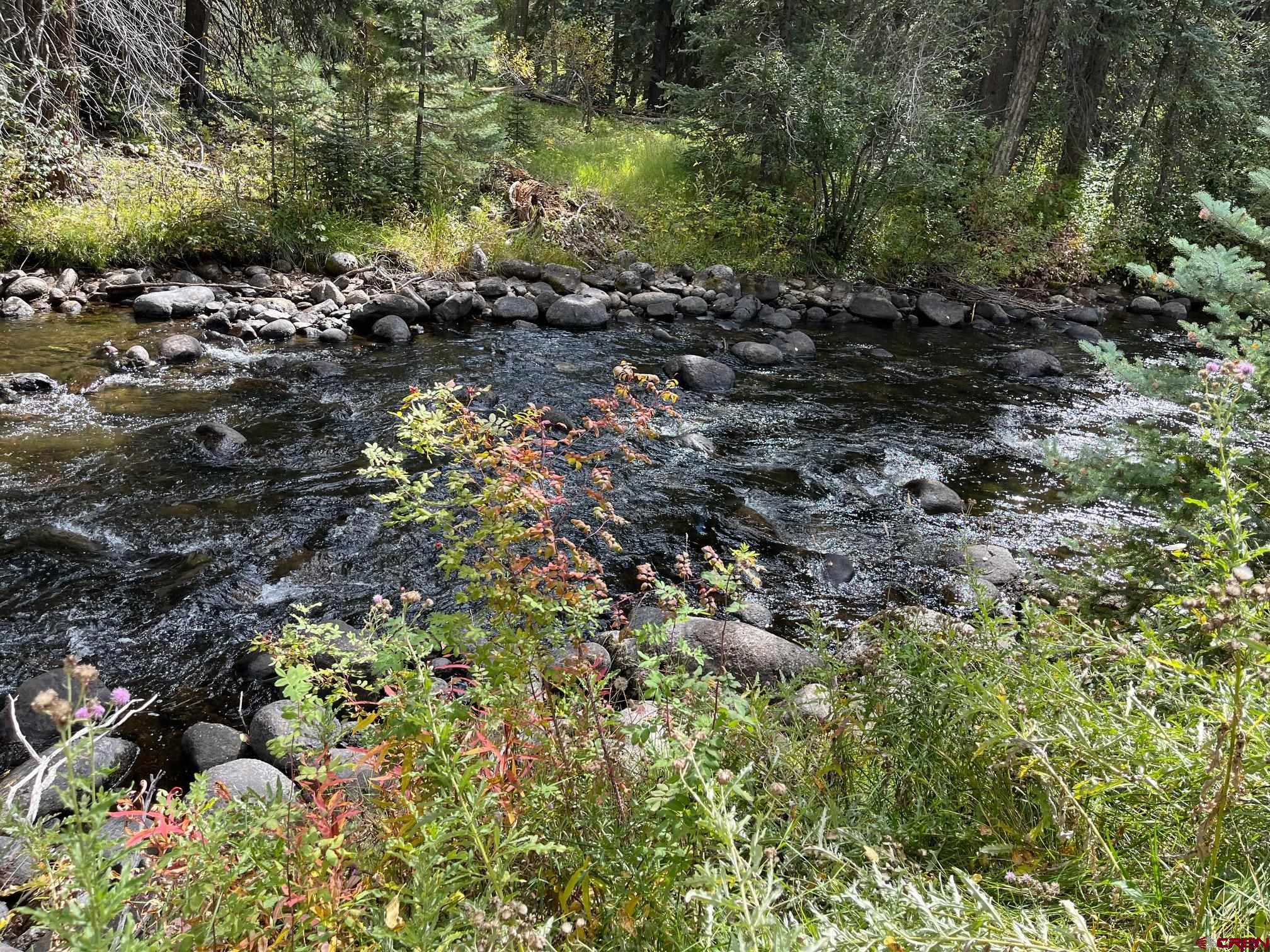 13544 County Road 240 Durango, CO 81301 - Photo 5 of 6