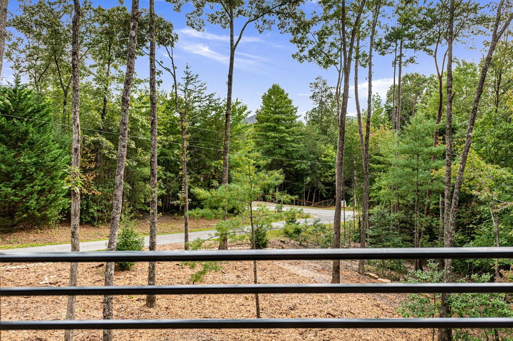 111 Sugar Mountain Road Blue Ridge, GA 30513 - Photo 78 of 90 Gallery Image 78