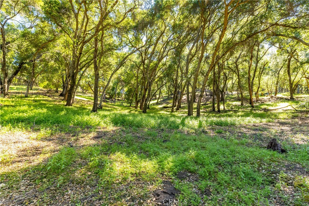 7695 Del Rio Road Atascadero, CA 93422 - Photo 72 of 75