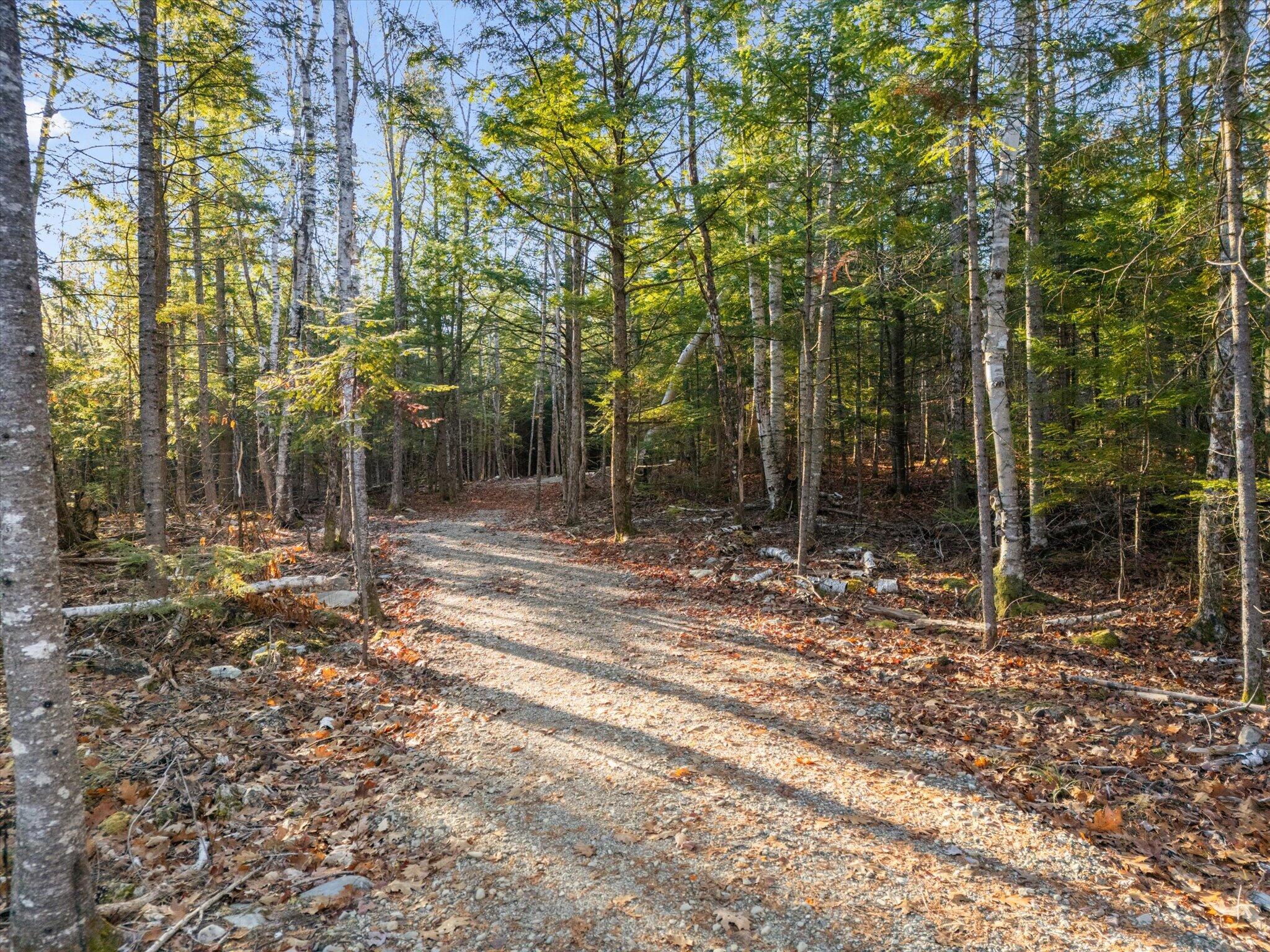 93 Forestry Lane Eddington, ME 04428 - Photo 29 of 77 36-93 Forestry Lane