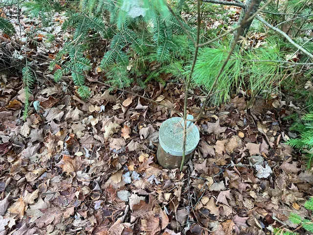 $794,000 | 93 Forestry Lane, Eddington, ME 04428