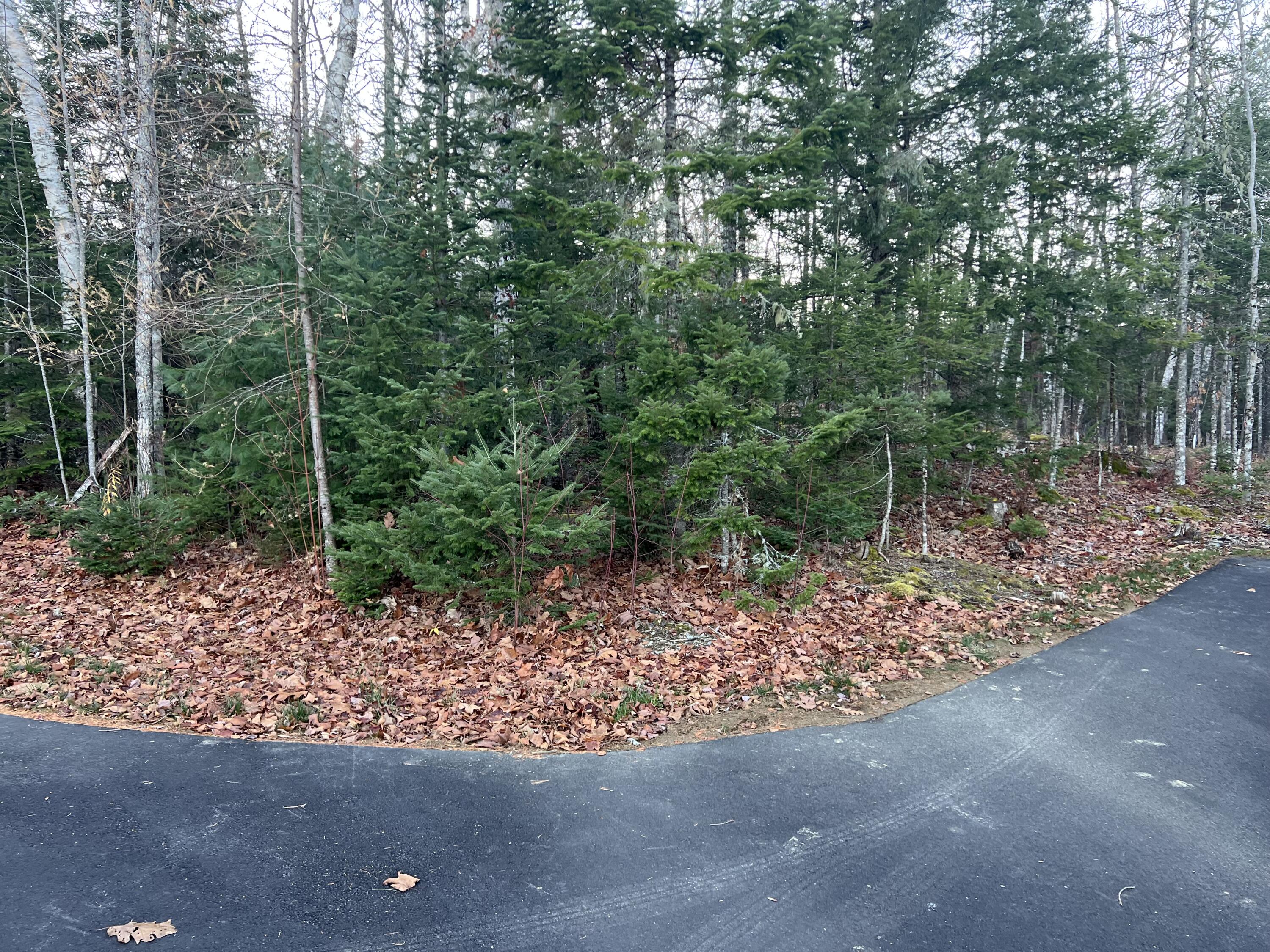 93 Forestry Lane Eddington, ME 04428 - Photo 35 of 77 image00002