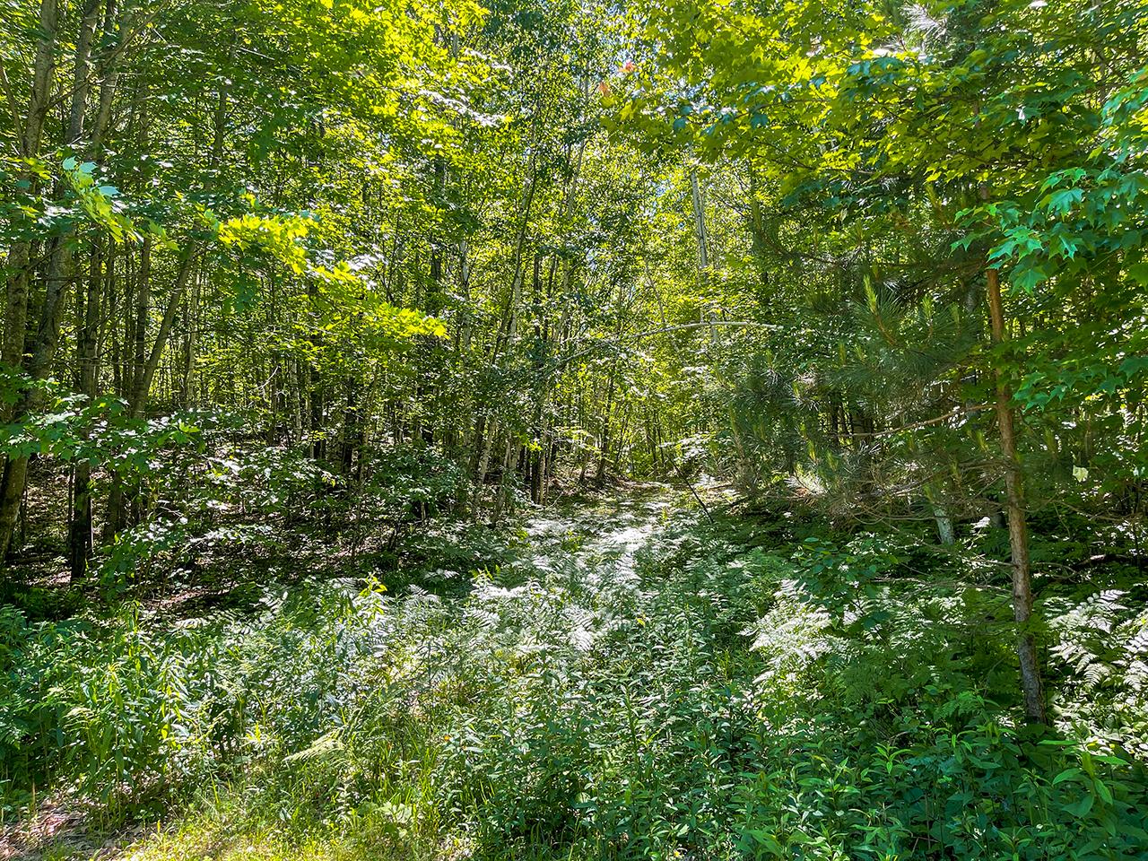 6833 Tree Top Court Rhinelander, WI 54501 - Photo 27 of 55 Gallery Image 27