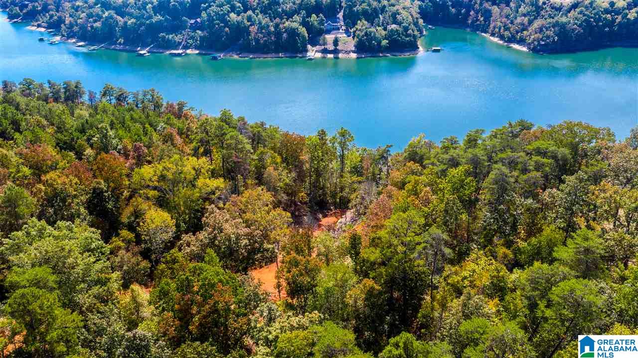 0 County Road 297 Cullman, AL 35057 - Photo 26 of 48
