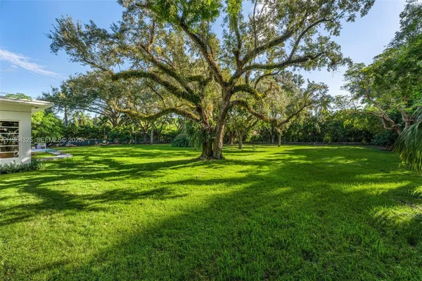 a view of a park with large trees
