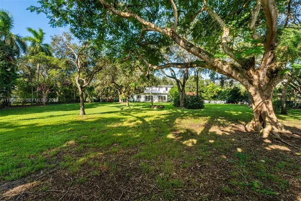 a view of a park with large trees
