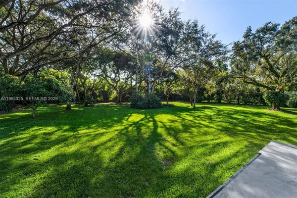 a view of a park with large trees