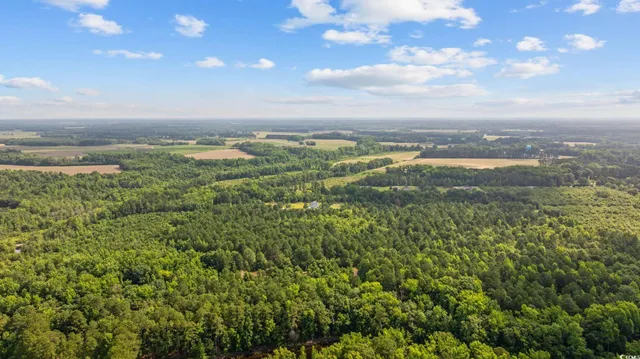 $199,000 | Tbd Lee Lane, Bennettsville, SC 29512