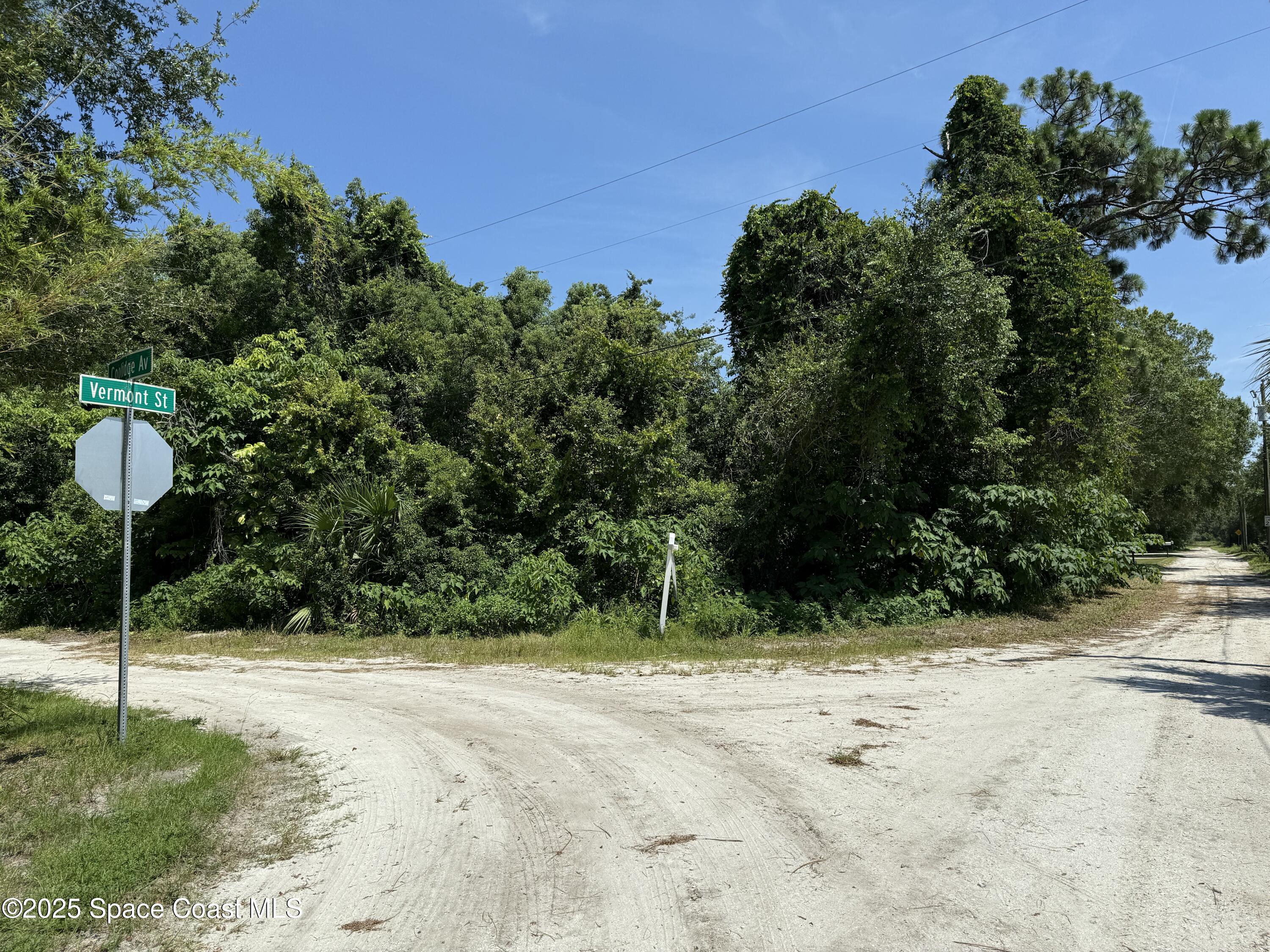0 Unknown Avenue Mims, FL 32754 - Photo 6 of 9 IMG_5225
