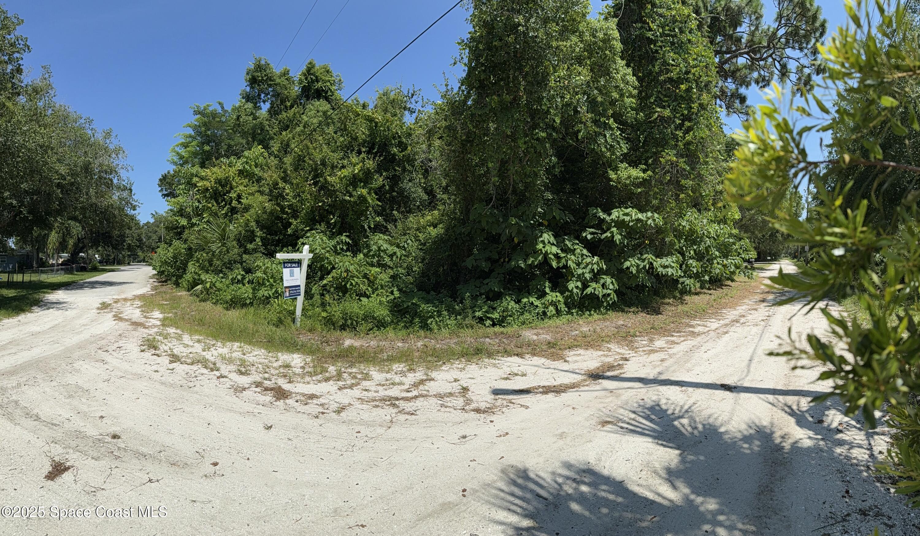 0 Unknown Avenue Mims, FL 32754 - Photo 8 of 9 IMG_5233 3