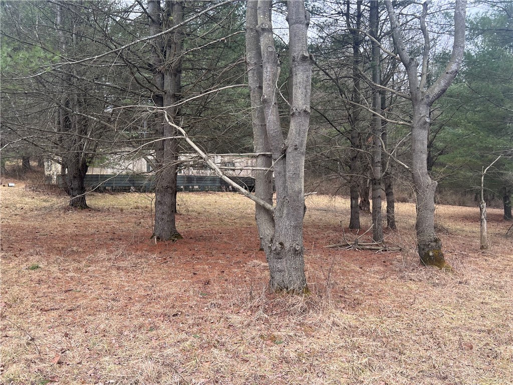 9754 Welty Road Lindley, NY 14858 - Photo 1 of 1