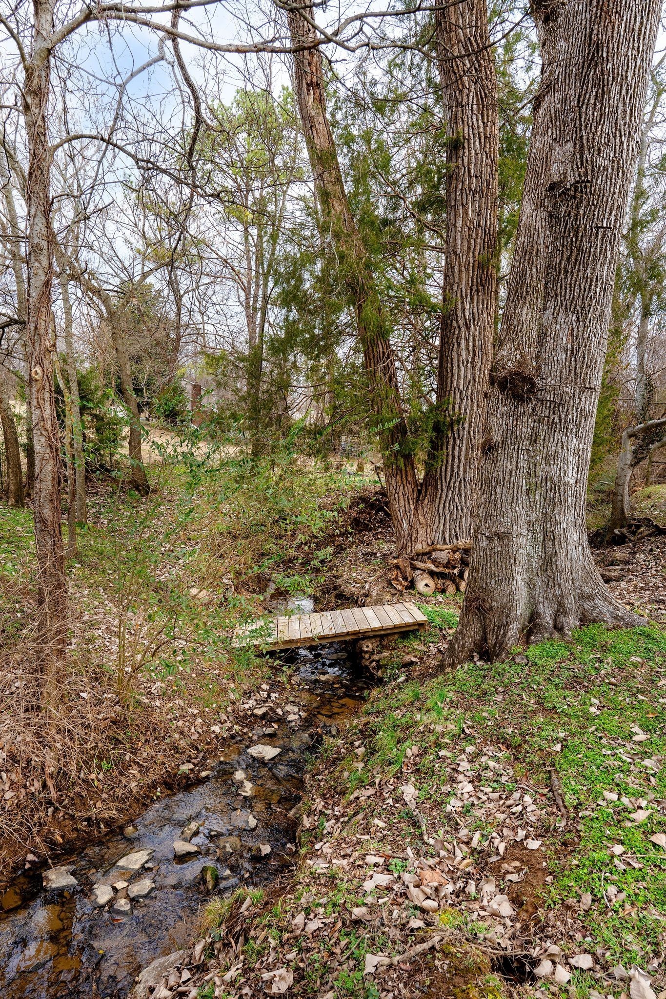 741 Saundersville Ferry Road Mount Juliet, TN 37122 - Photo 67 of 89