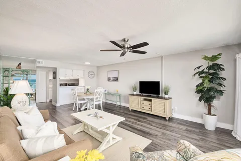 a living room with furniture a table and a potted plant