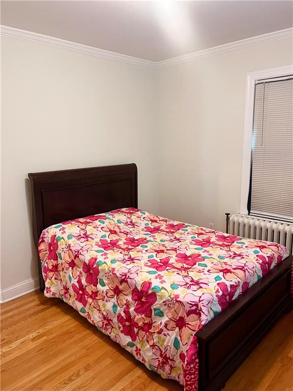 69 Treno Street New Rochelle, NY 10801 - Photo 15 of 22 Bedroom #3