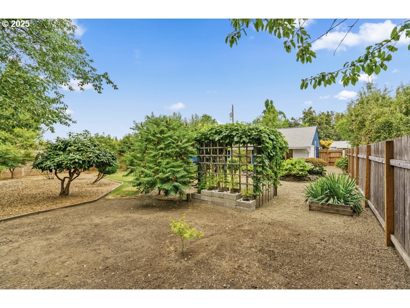 1995 Scott Road Springfield, OR 97477 - Photo 37 of 43 a view of a yard