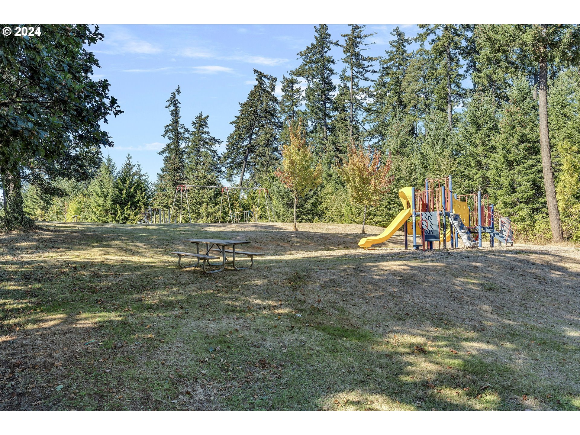 362 Southwest Oak Street Willamina, OR 97396 - Photo 34 of 34 a view of a park with large trees