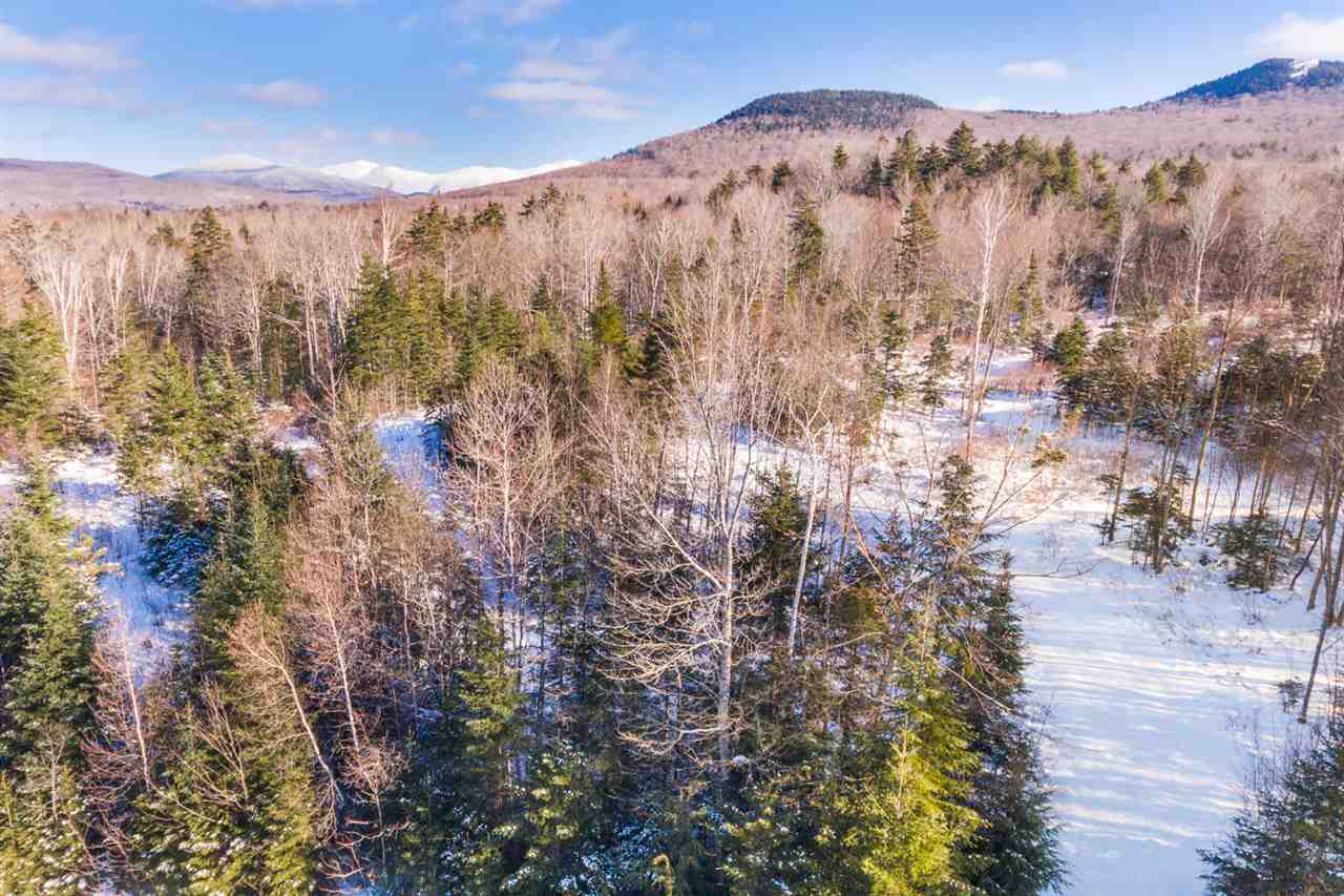 Tuttlebrook Road, Unit 10 Twin Mountain, NH 03595 - Photo 3 of 4