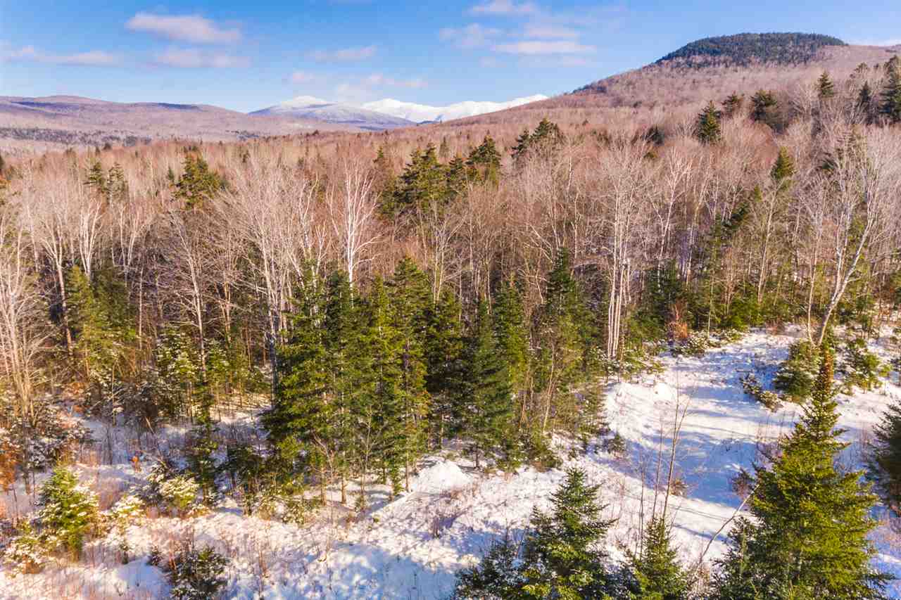 Tuttlebrook Road, Unit 10 Twin Mountain, NH 03595 - Photo 4 of 4