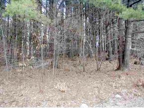 Lot#95 David Road Rutland Town, VT 05701 - Photo 1 of 1