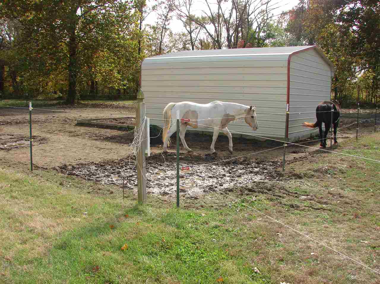 7022 North St Johns Road Elberfeld, IN 47613 - Photo 12 of 36 Gallery Image 12