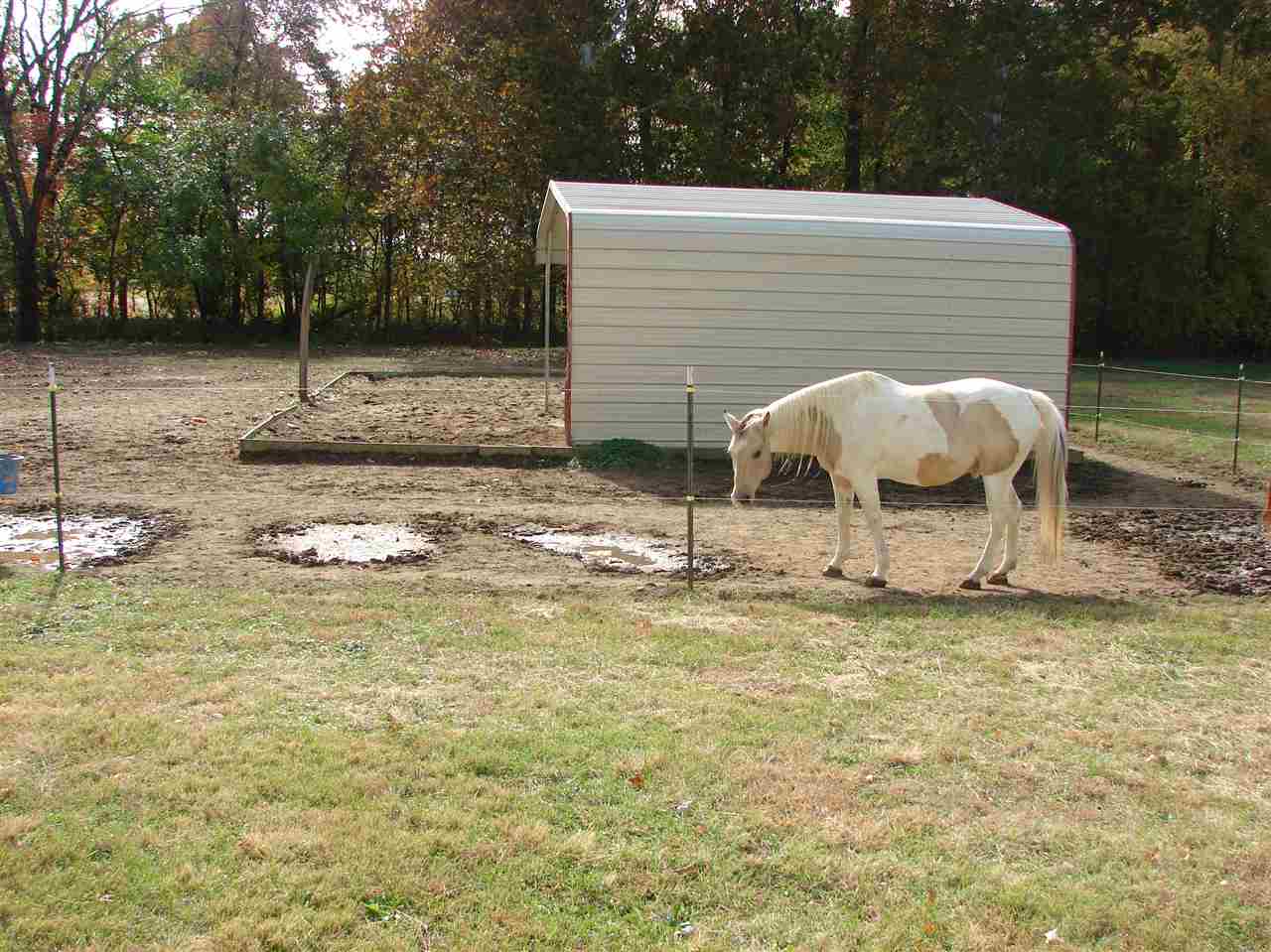 7022 North St Johns Road Elberfeld, IN 47613 - Photo 13 of 36 Gallery Image 13