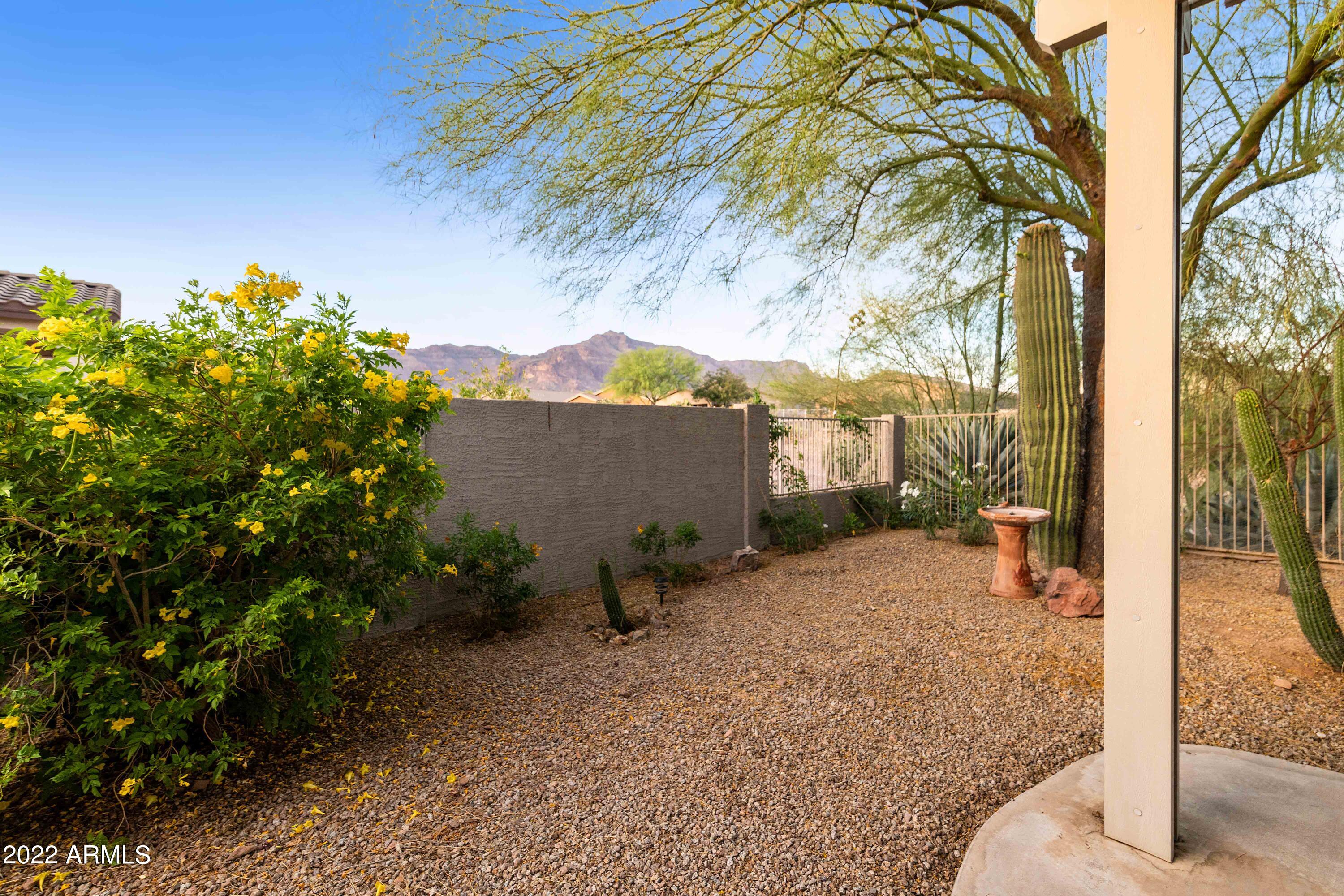 4339 South Strong Box Road Gold Canyon, AZ 85118 - Photo 34 of 50 PAT_1500