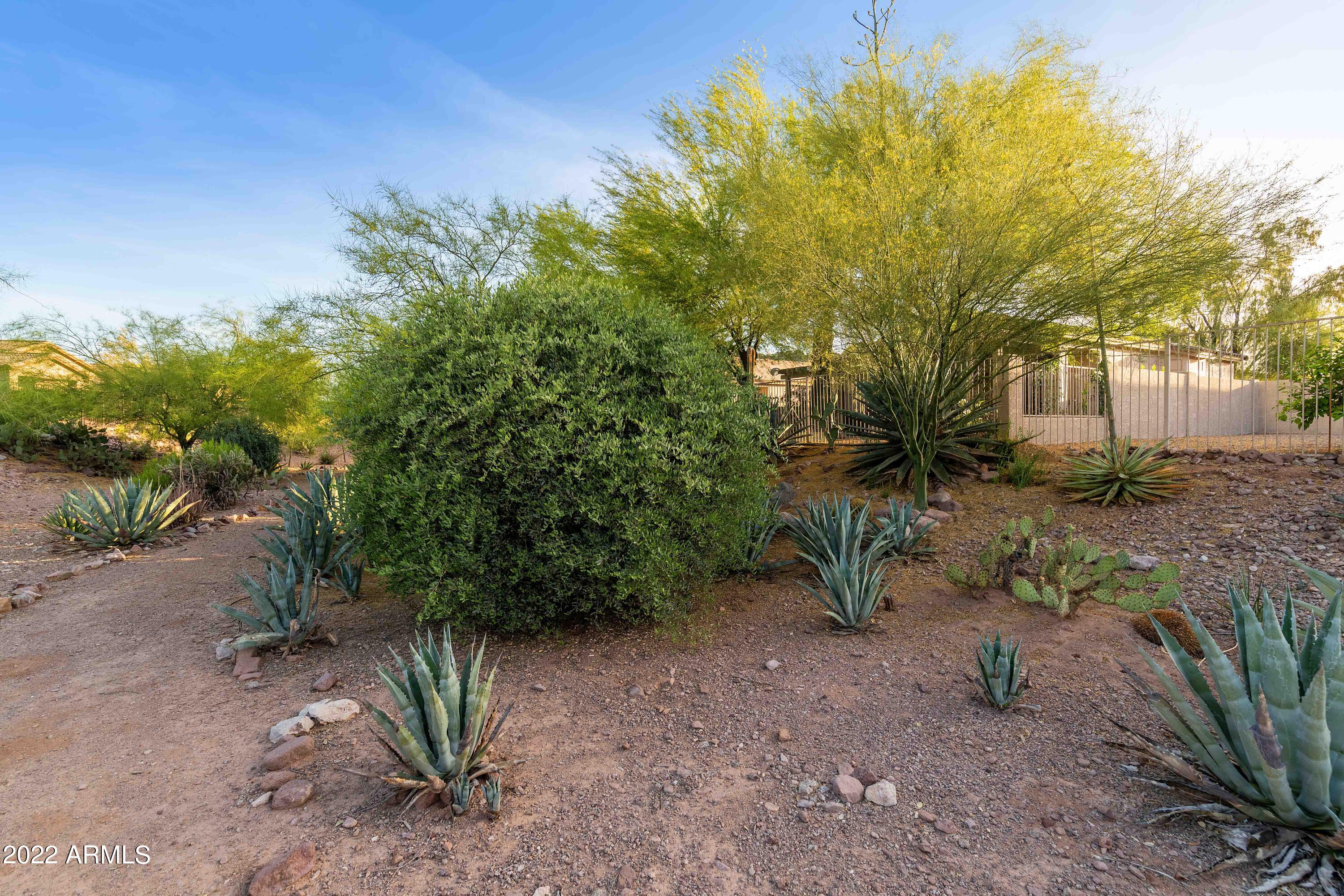 4339 South Strong Box Road Gold Canyon, AZ 85118 - Photo 45 of 50 PAT_1397
