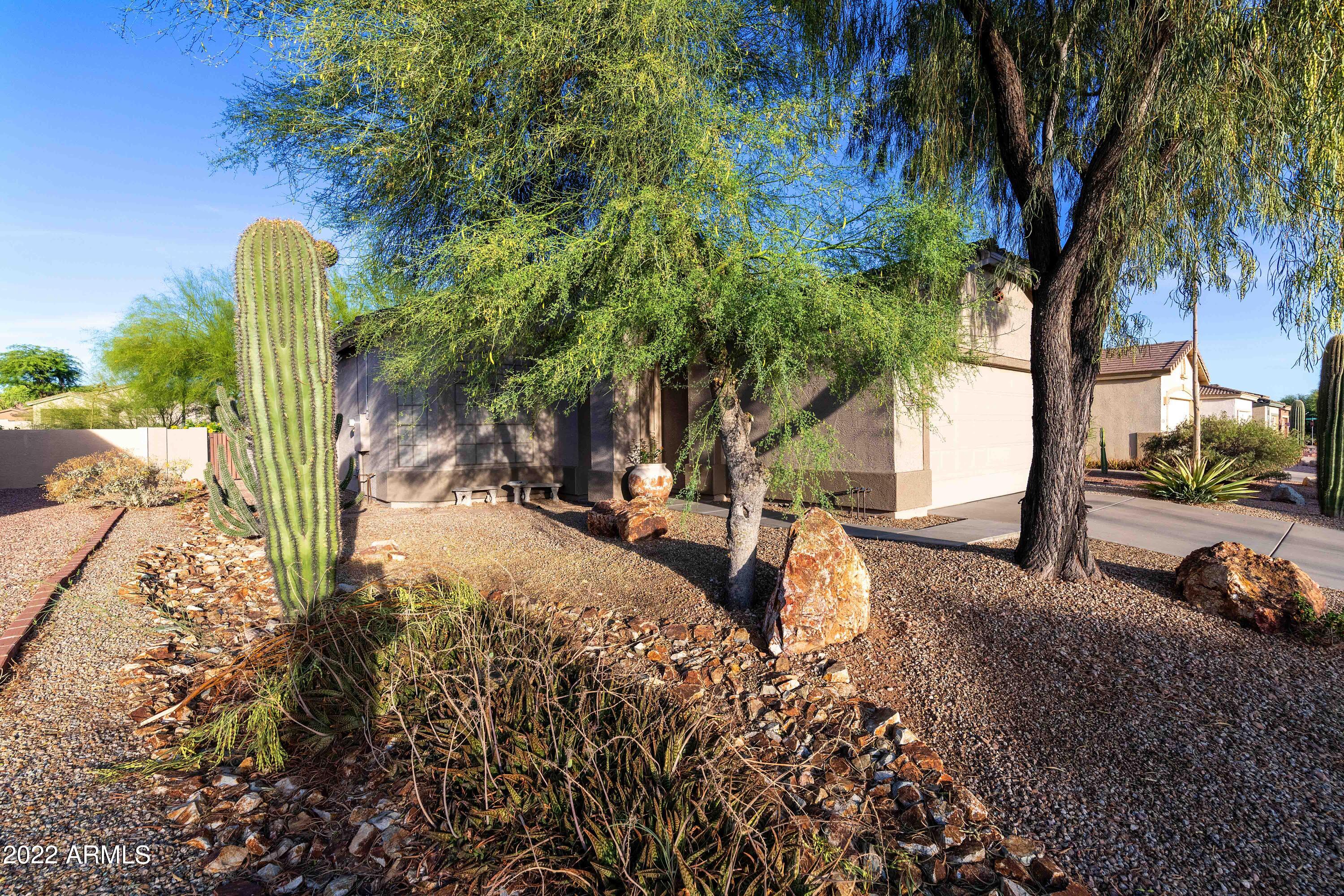 4339 South Strong Box Road Gold Canyon, AZ 85118 - Photo 49 of 50 PAT_1380