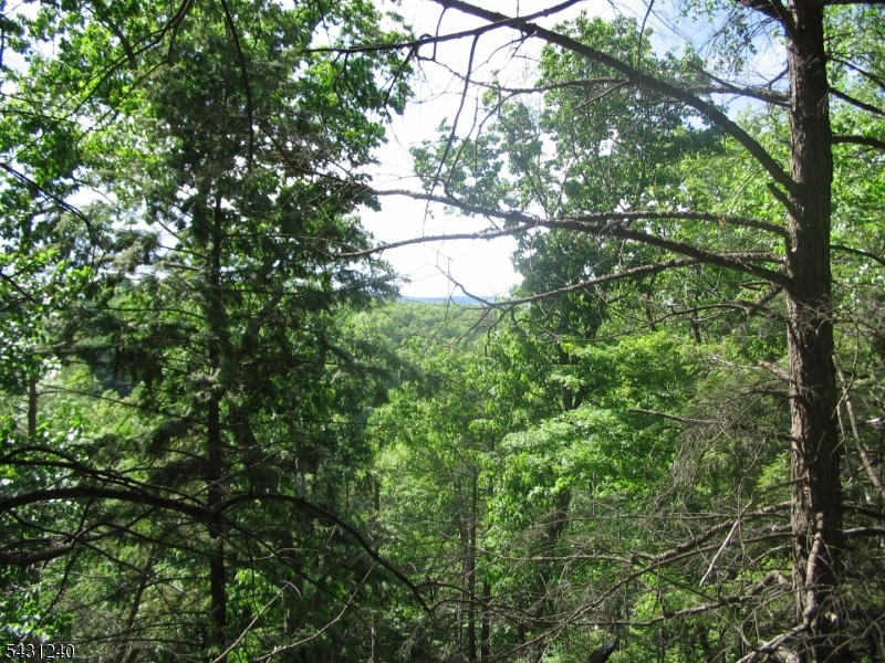67 Pidgeon Hill Road Wantage, NJ 07461 - Photo 2 of 5 a view of a tree