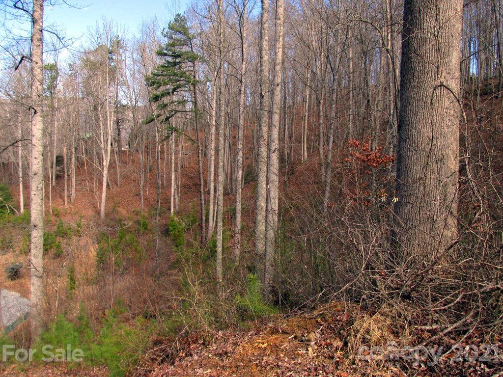 800 Dalton Road Sylva, NC 28779 - Photo 8 of 10 Gallery Image 8