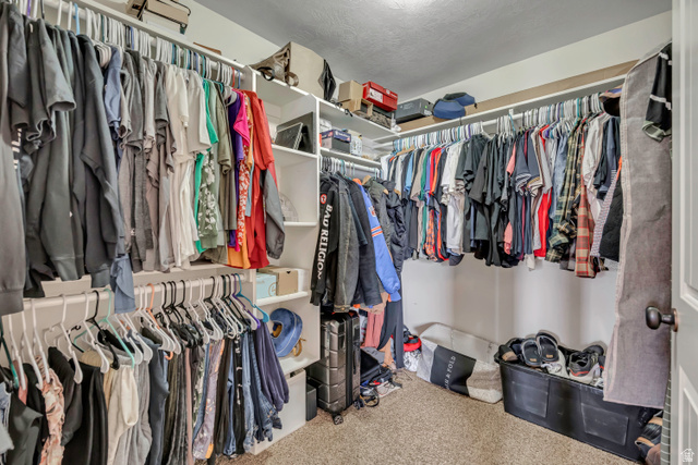 3054 West Ridgeline Road Stockton, UT 84071 - Photo 21 of 88 Walk in closet featuring carpet flooring
