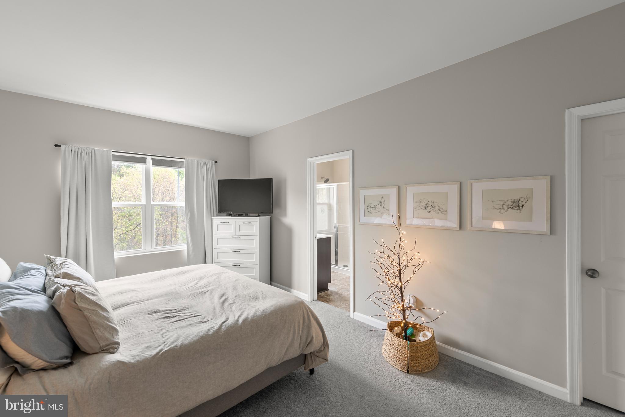 241 Patchwork Drive Stephenson, VA 22656 - Photo 13 of 30 Primary Bedroom
