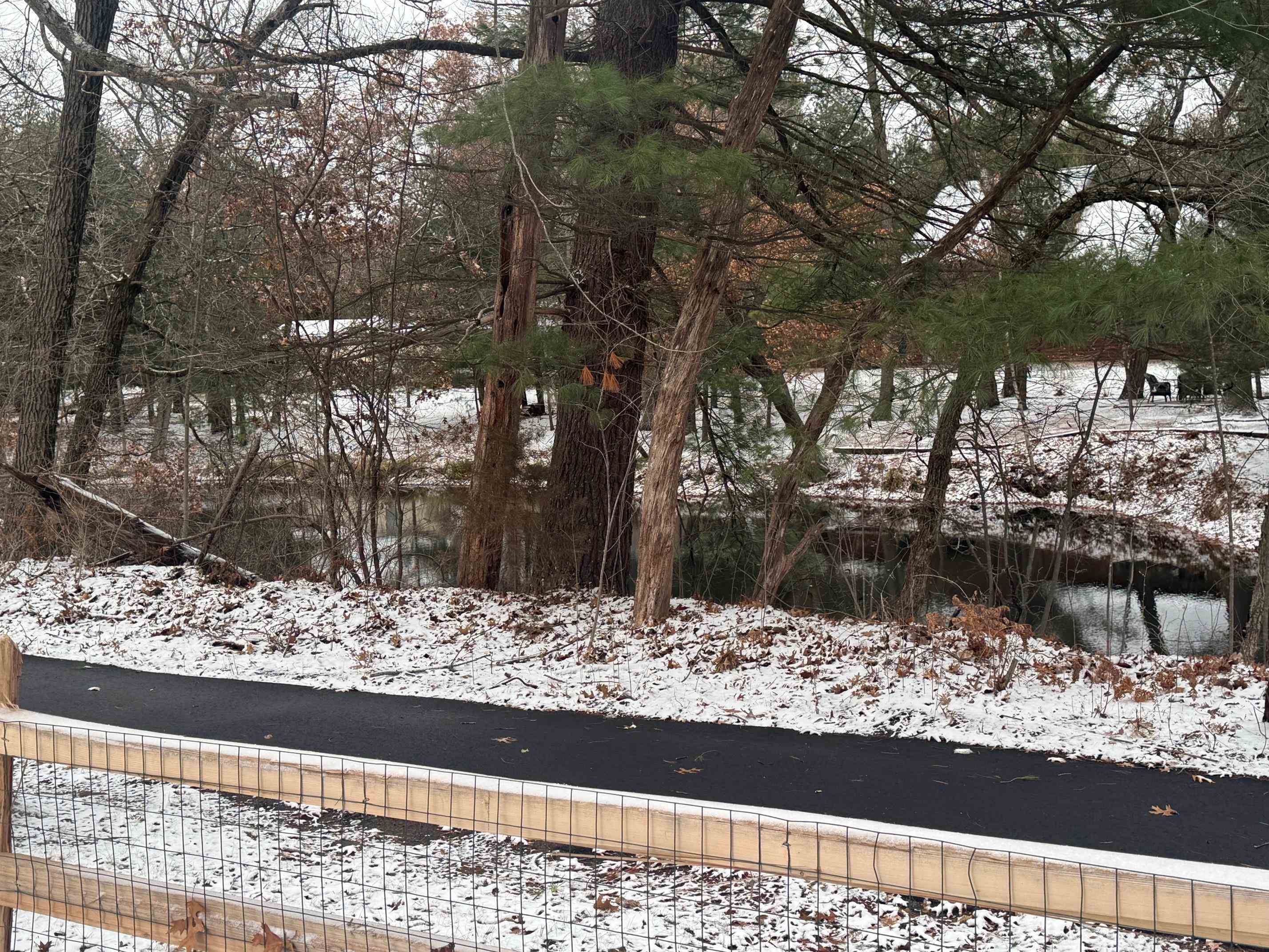 139 Sugar Maple Circle, Unit 160 Wisconsin Dells, WI 53965 - Photo 6 of 47