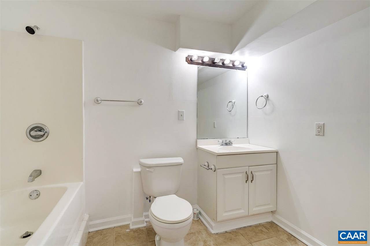 1280 Amber Ridge Road Charlottesville, VA 22901 - Photo 32 of 33 a bathroom with a sink a toilet and shower