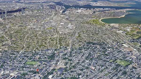 a view of a yard with plants and large trees
