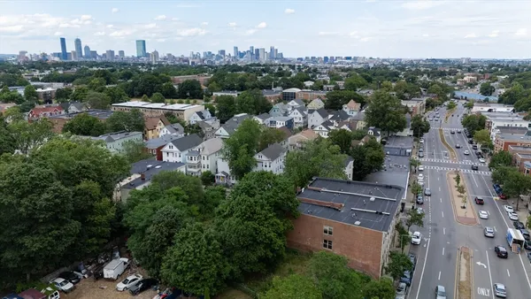 a view of a yard with a tree