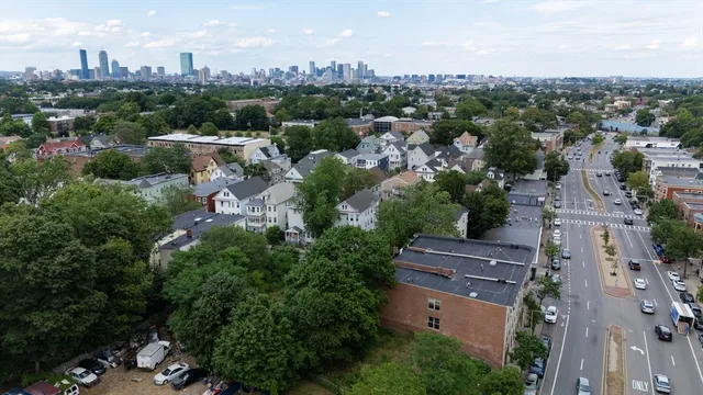a view of a yard with a tree