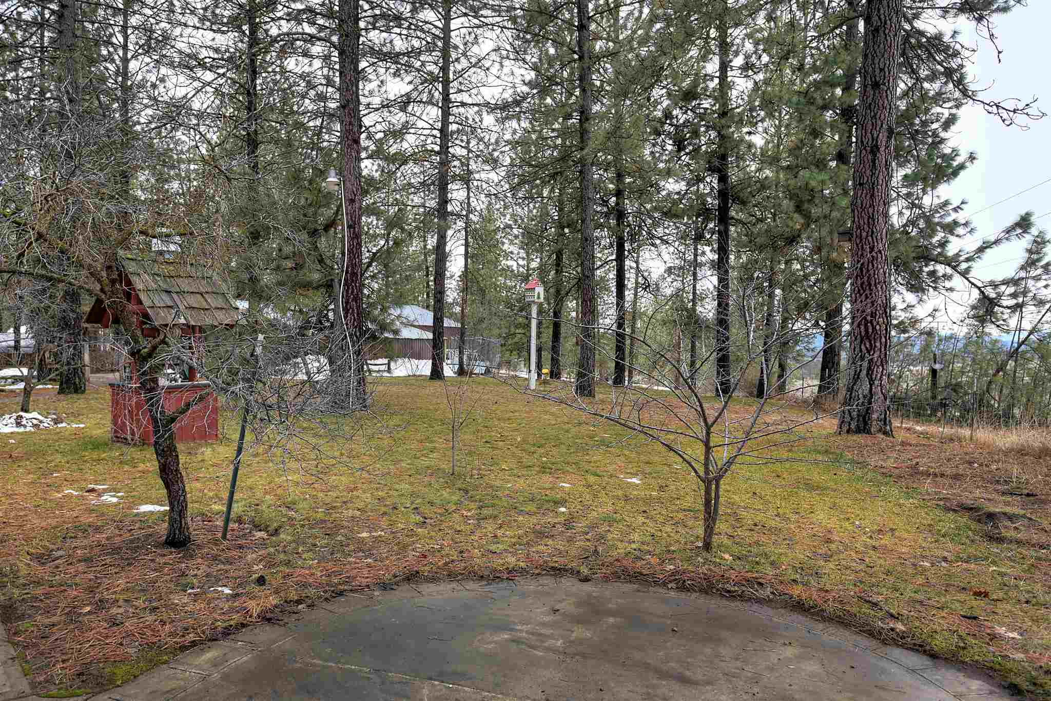 27614 West Long Lake Road Ford, WA 99013 - Photo 31 of 35
