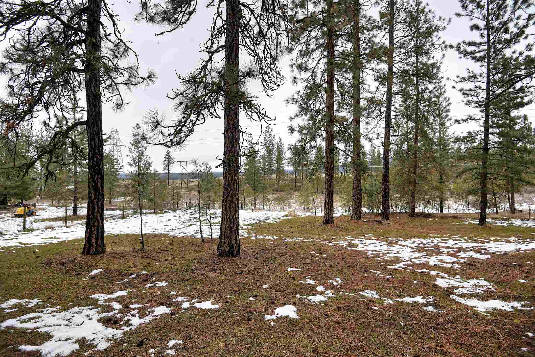 27614 West Long Lake Road Ford, WA 99013 - Photo 32 of 35