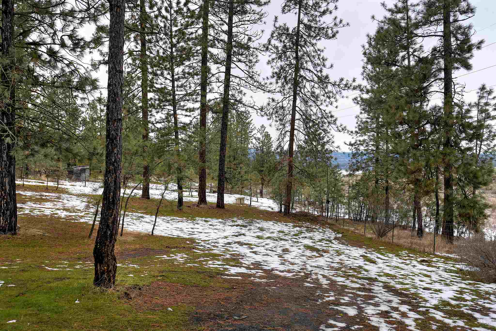 27614 West Long Lake Road Ford, WA 99013 - Photo 33 of 35