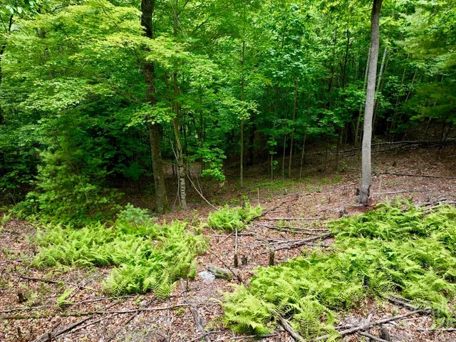 $34,950 | 150 Thistlewynd Trail, Hendersonville, NC 28739