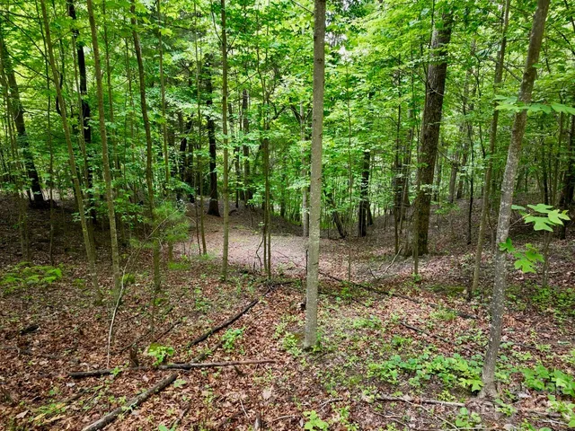 $34,950 | 150 Thistlewynd Trail, Hendersonville, NC 28739