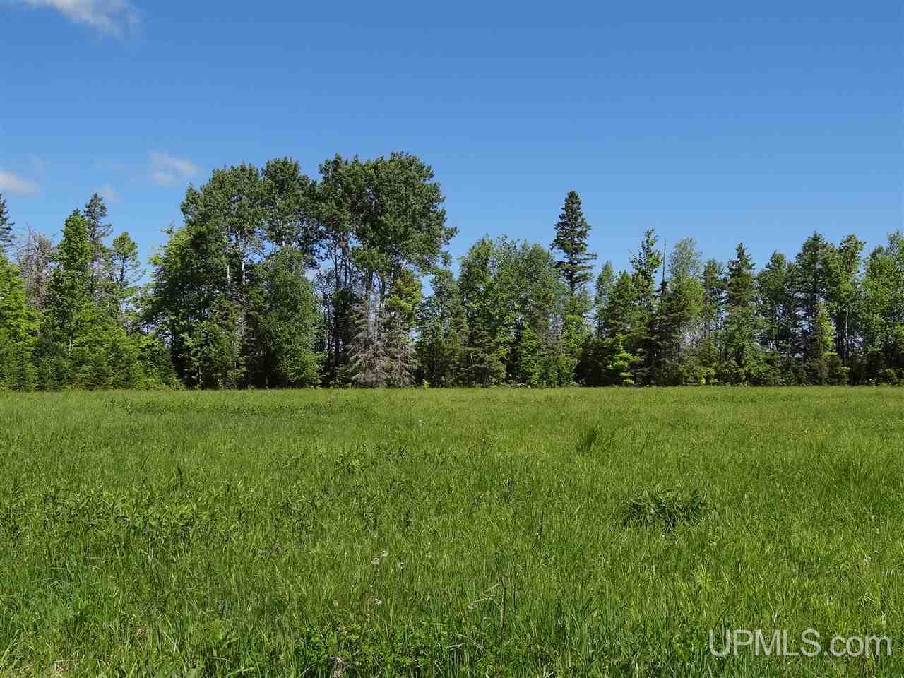 Tbd Juno Road Mass City, MI 49948 - Photo 22 of 29